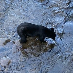 Meet your Posher, Alan